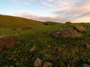 Coyote-Ridge-Rocks