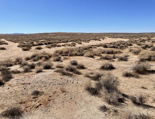 Desert Tortoise/Mohave Ground Squirrel Mitigation