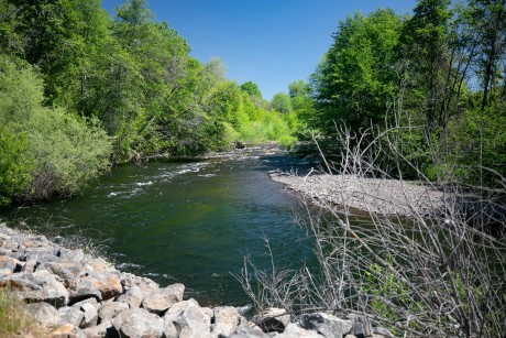 Hamilton Ranch creek credit Michelle Camy